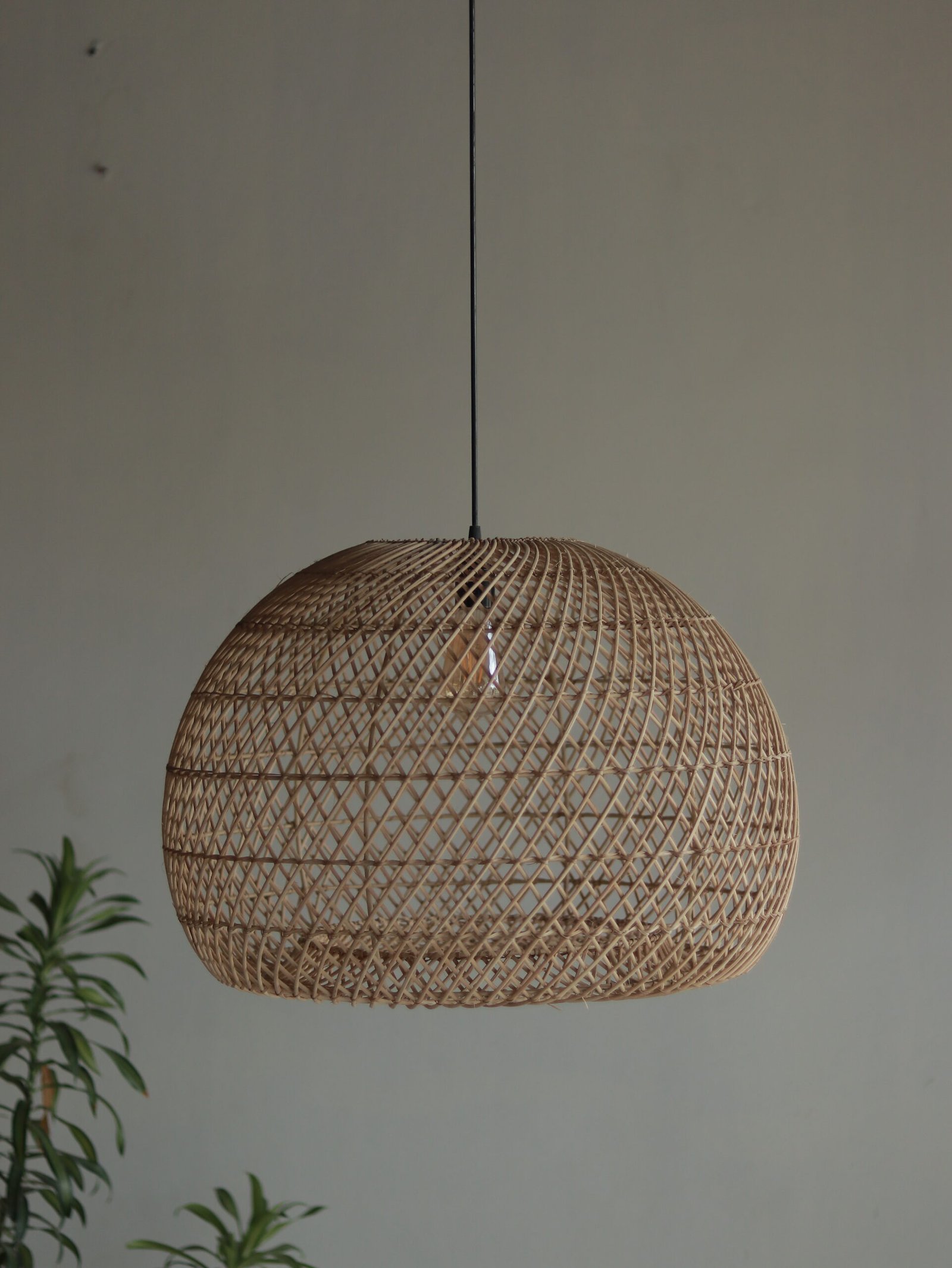 EIRA – Ellipse Cane Pendant - Image 2